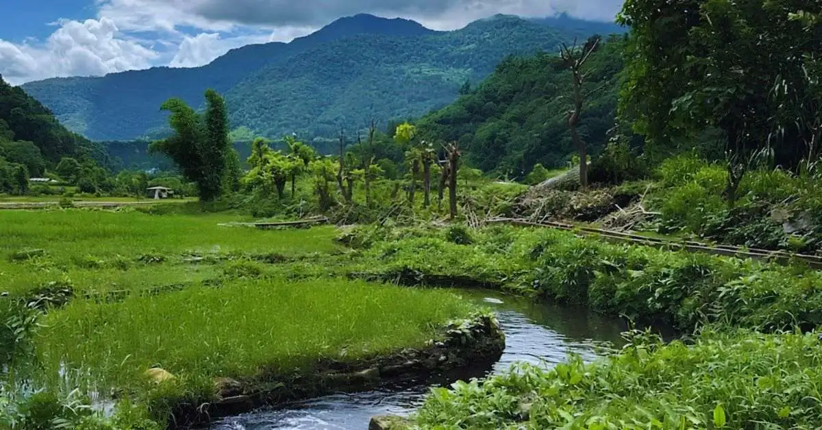 Gandaki-Rainbow-Trout-Bhurjung-Khola