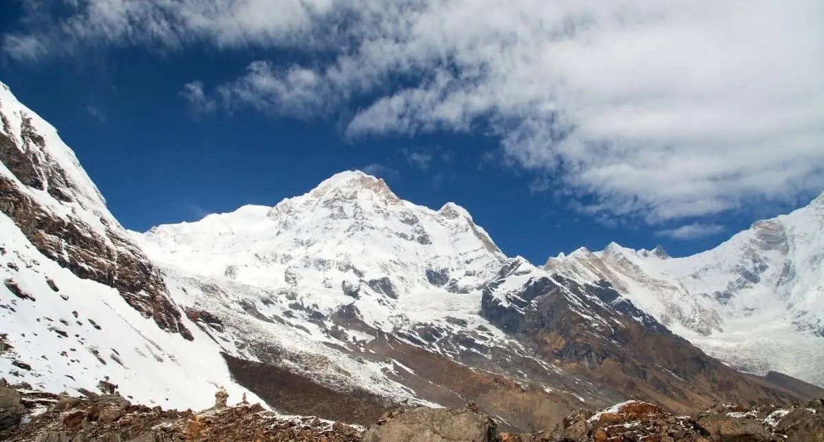 Trekkers walking through rhododendron forest
