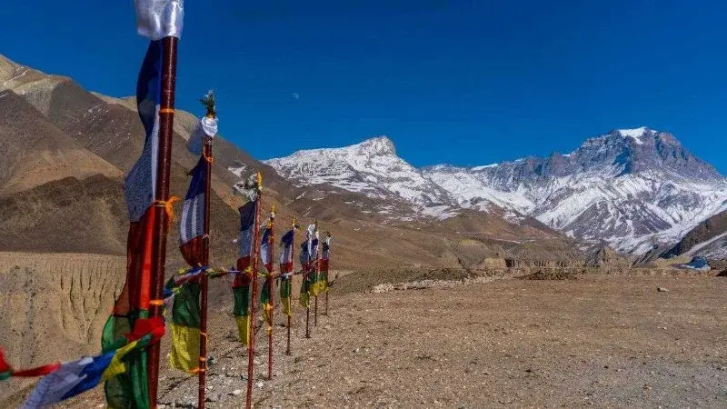Praying flags in mustang 
