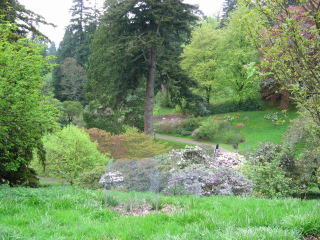 Godawari Botanical Garden