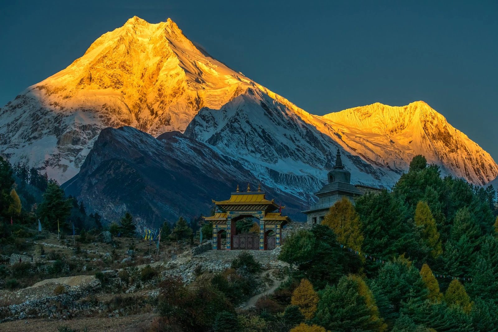 Experience-Nepal